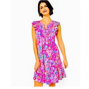 NWT Lily Pulitzer Golda Dress - size large